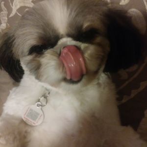 Meet your Posher, Sonia